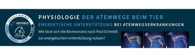 Wie lässt sich die Bioresonanz nach Paul Schmidt zur energetischen Unterstützung der Atemwegserkrankungen nutzen?