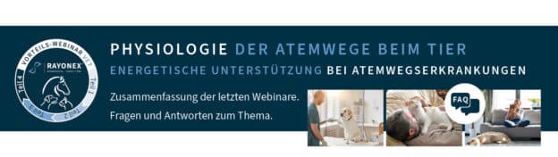 Zusammenfassung der letzten 3 Webinare.  Fragen und Antworten zum Thema.